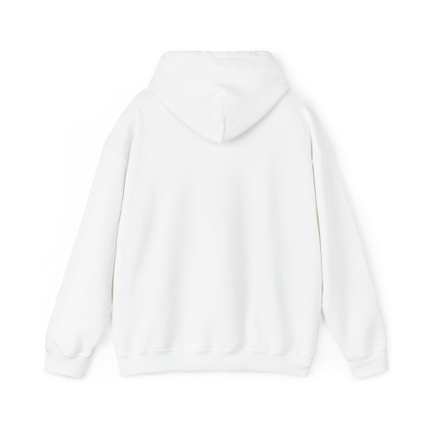 F*ck the Supreme Court Hoodie - Light