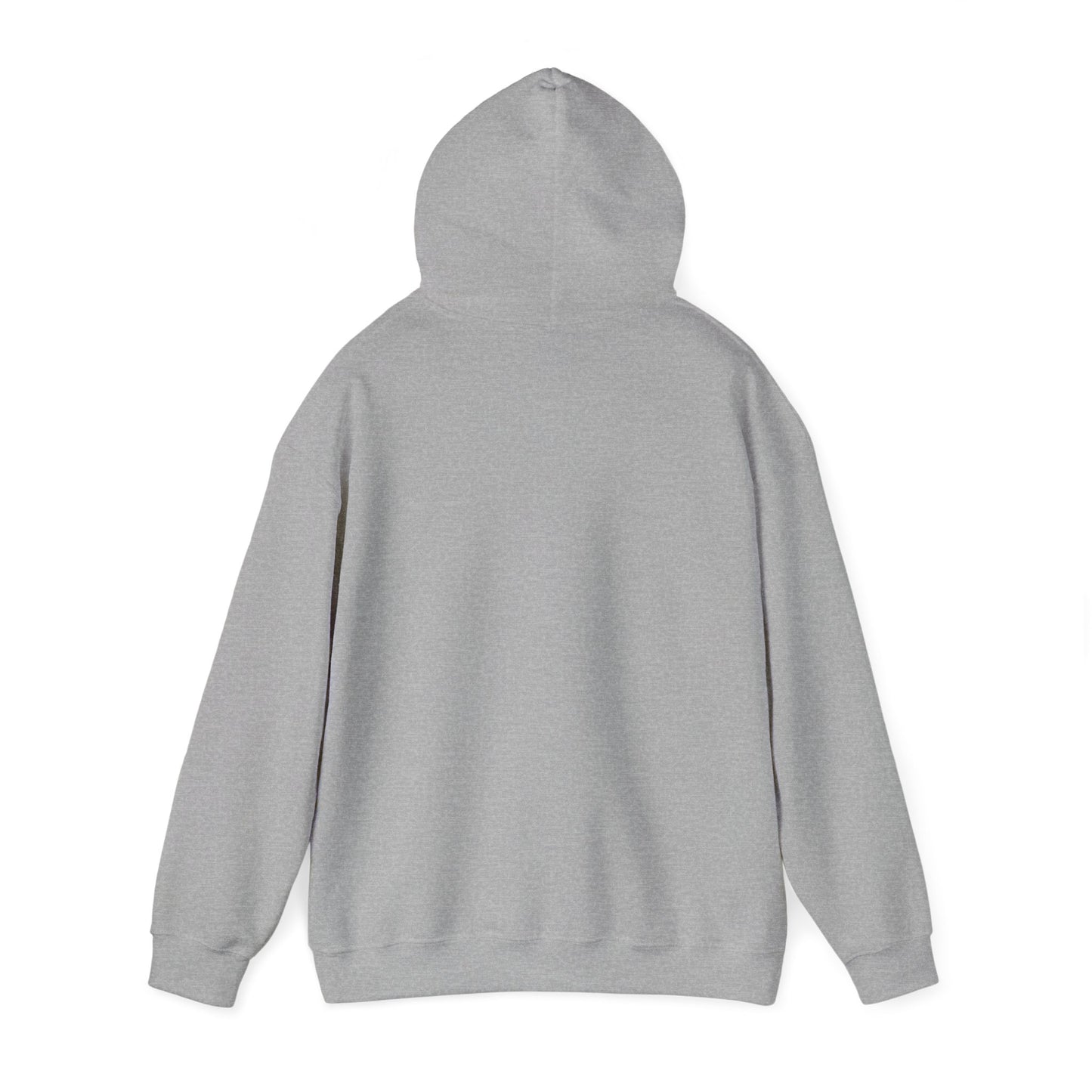 F*ck the Supreme Court Hoodie - Light