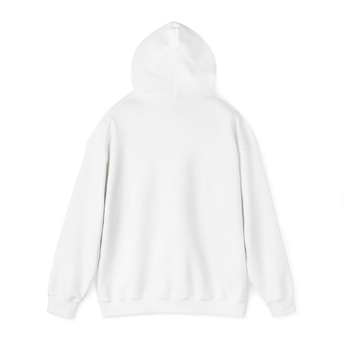 F*ck the Supreme Court Hoodie - Light
